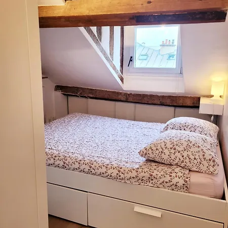 Apartment Le Cosy Macaron - Au Coeur De Versailles