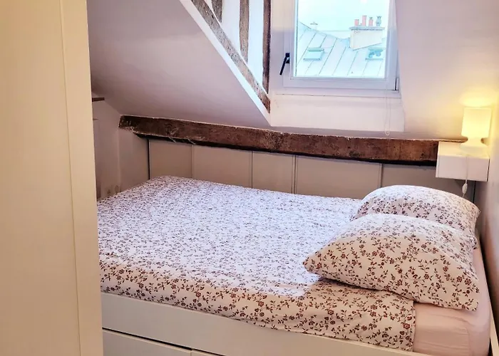 Apartamento Le Cosy Macaron - Au Coeur De Versalles