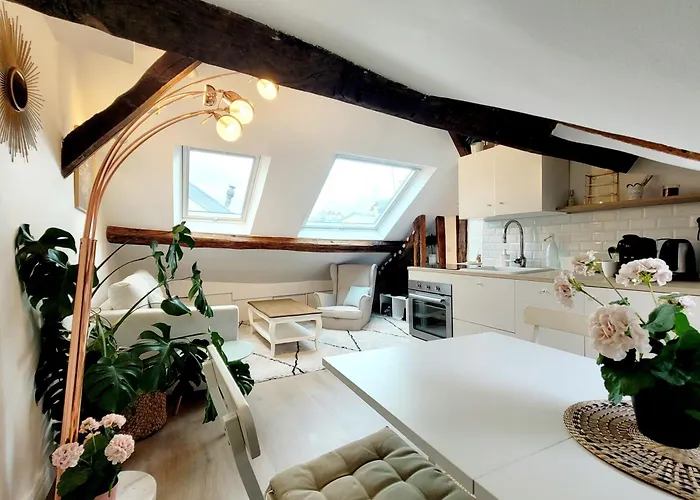 Apartamento Le Cosy Macaron - Au Coeur De *