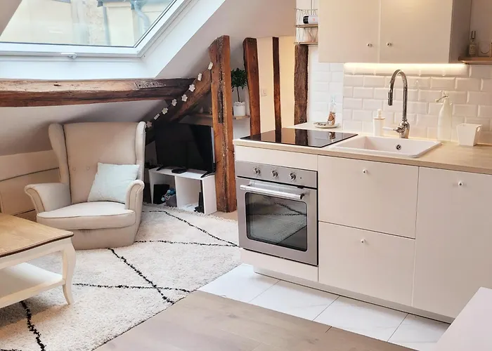 Apartamento Le Cosy Macaron - Au Coeur De Versalles