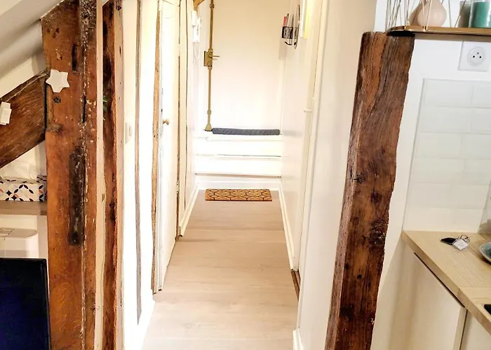 Apartamento Le Cosy Macaron - Au Coeur De Versalles