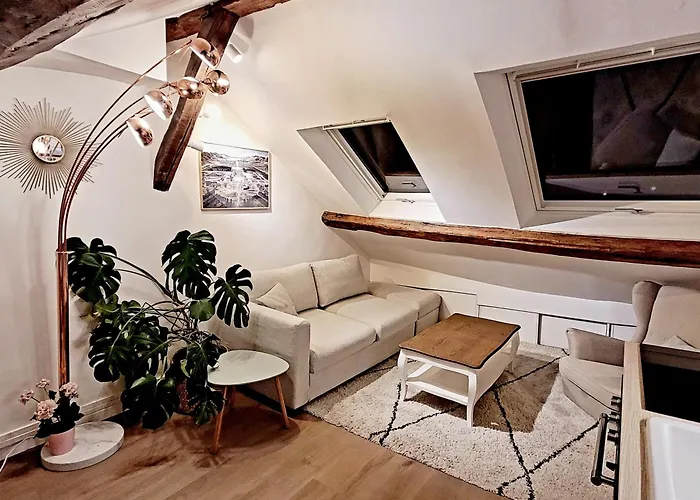 Le Cosy Macaron - Au Coeur De Versalles